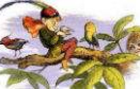 Vrei sa auzi cum suna prognoza meteo in limba elfilor?