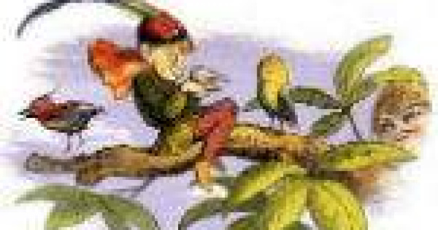 Vrei sa auzi cum suna prognoza meteo in limba elfilor?