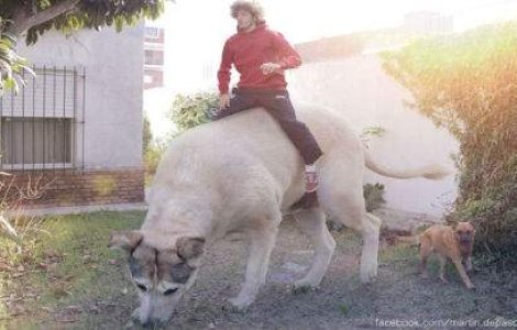 In tara minunilor: 20 de editari foto super-creative