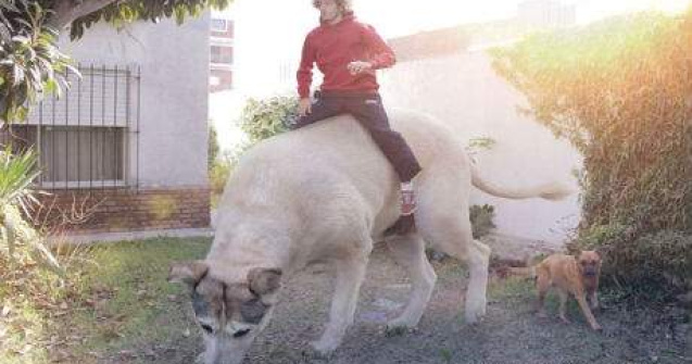 In tara minunilor: 20 de editari foto super-creative