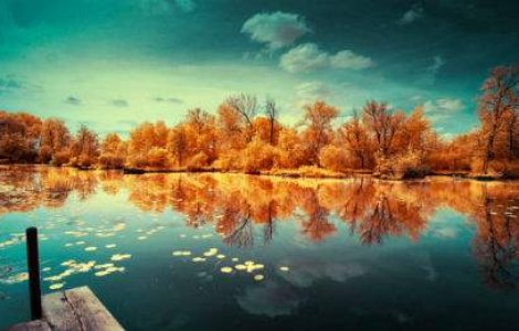 13 peisaje de poveste...in infrarosu