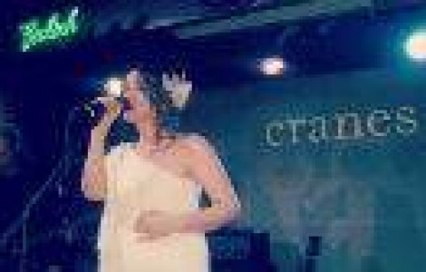 THE CRANES IN PANIC! CLUB