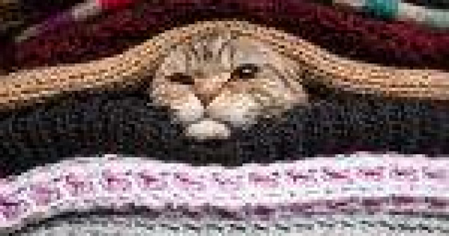 10 semne ca te-ai saturat de iarna (prezentate in GIFuri)