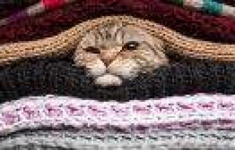 10 semne ca te-ai saturat de iarna (prezentate in GIFuri)