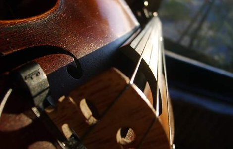 Concert dedicat lui George Enescu, la Carnavalul de la Venetia