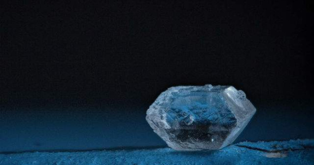 Lumea pe care nu o vedem. Fotografii macro cu obiectele inconjuratoare