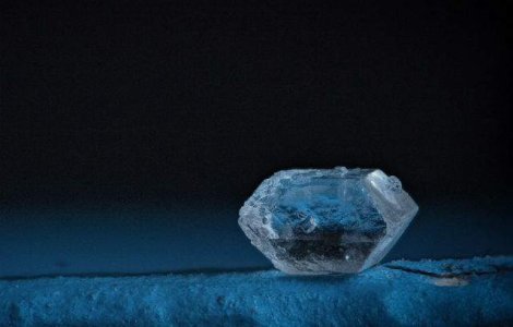 Lumea pe care nu o vedem. Fotografii macro cu obiectele inconjuratoare