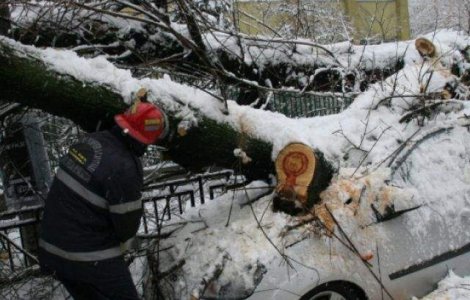 Vijelia a facut RAVAGII in Capitala! Peste 15 masini avariate, 50 de interventii ale pompierilor