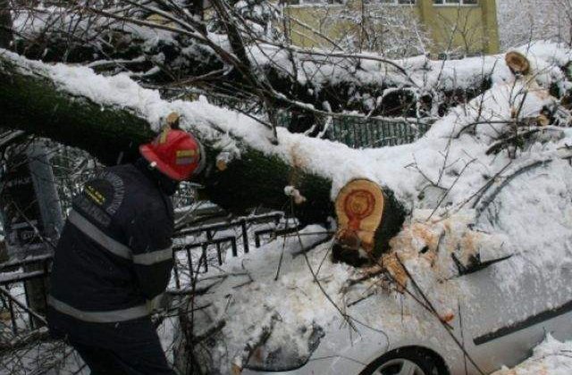 Vijelia a facut RAVAGII in Capitala! Peste 15 masini avariate, 50 de interventii ale pompierilor