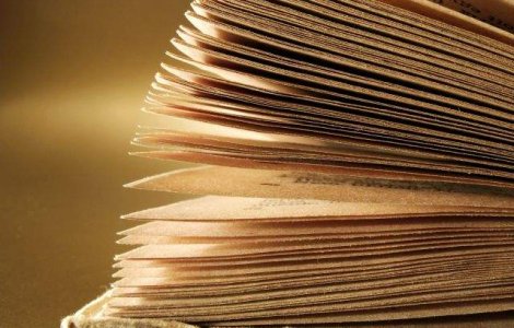 Un nou exemplar din Magna Carta, descoperit in Marea Britanie