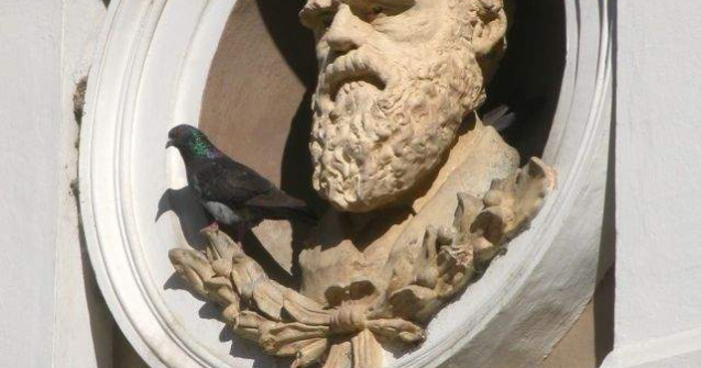 Charles Darwin, sarbatorit printr-un eveniment dedicat stiintei