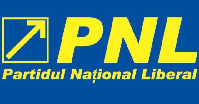 Propunerea PNL pentru functia de judecator al Curtii Constitutionale