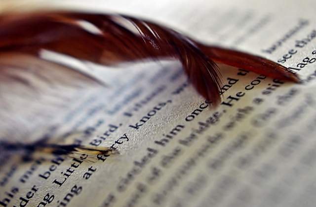 Doua edituri din Romania contesta proiectul de lege privind timbrul cultural