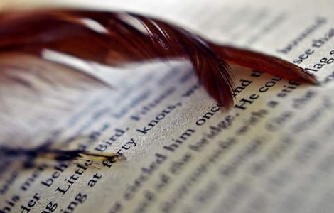 Doua edituri contesta proiectul de lege privind timbrul cultural