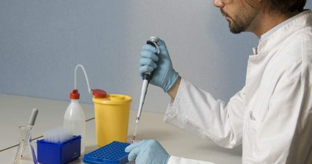 Celulele canceroase, distruse de un compus din uleiul de masline