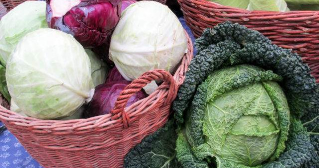  Top  SECRETUL unei legume subestimate! La ce NU STIAI ca este buna varza