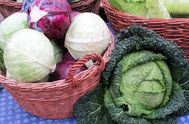 SECRETUL unei legume subestimate! La ce NU STIAI ca este buna varza