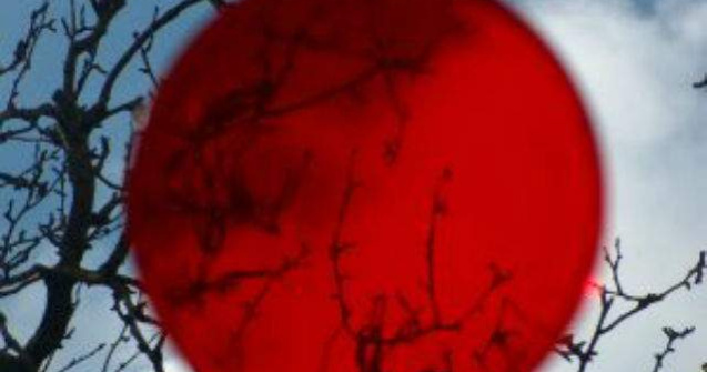 Japonia: Cainii-roboti AIBO au parte de funeralii private