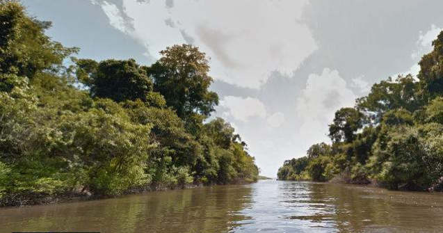 Cu tiroliana prin jungla Amazoniana pe Google Street View