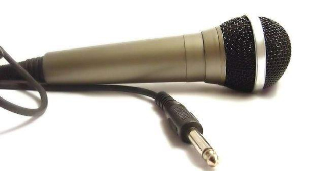 Premiile muzicale Radio Romania: Delia si Voltaj, printre nominalizati