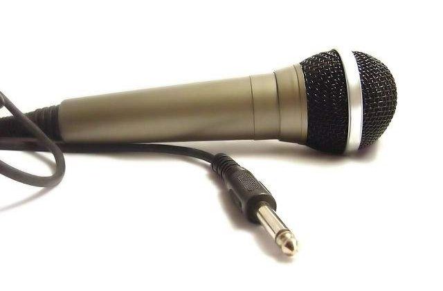 Premiile muzicale Radio Romania: Delia si Voltaj, printre artistii nominalizati