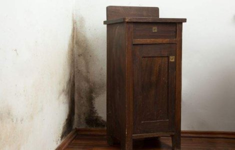  Top  PERICOLUL din casa ta! 9 surse ASCUNSE de alergie