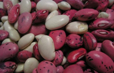  Top  Nu-i mai ocoli! Carbohidratii care te ajuta sa SLABESTI