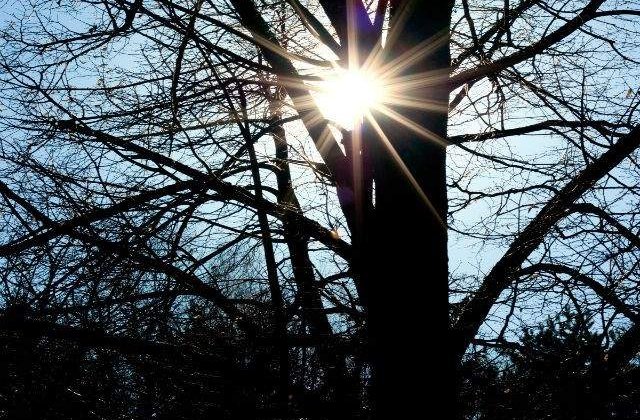 Prognoza meteo: Vreme NEOBISNUIT de calda la inceputul saptamanii