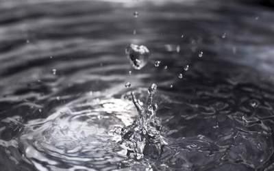 Sigur NU le stiai! Zece...