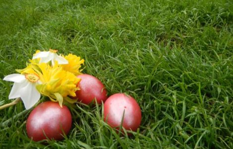  Top  Pe ultima suta de metri! Cele mai bune oferte pentru cumparaturile de Paste