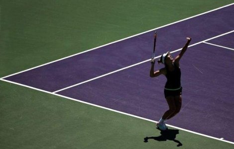  Video  Simona Halep o va intalni pe Serena Williams la Miami Open