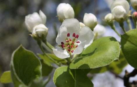Vom putea iesi la iarba verde? Cum va fi vremea de Florii