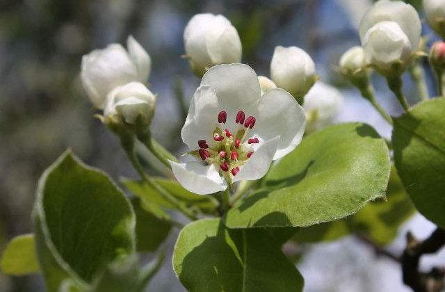 Vom putea iesi la iarba verde? Cum va fi vremea de Florii