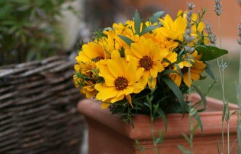  Top  Duminica Floriilor: De ce NU AI VOIE sa-ti speli parul in aceasta zi