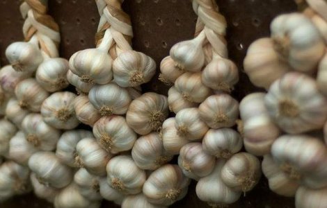  Top  Este bun la TOATE! De ce trebuie sa ai mereu USTUROI in casa