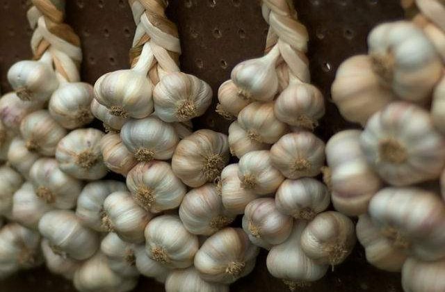 Este bun la TOATE! De ce trebuie sa ai mereu USTUROI in casa