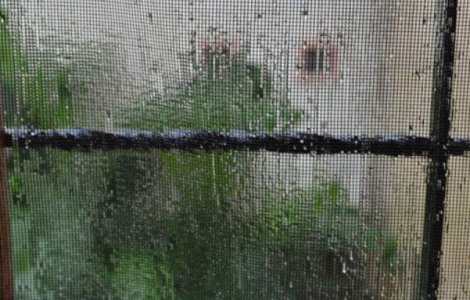 Cod galben de PLOI, vant si ninsori. Harta judetelor afectate