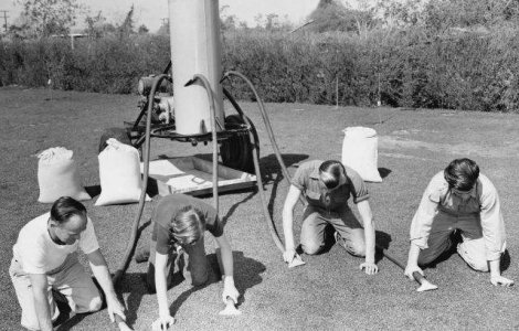  Top  Te plangi de jobul tau? Acestea sunt cele mai bizare meserii din lume