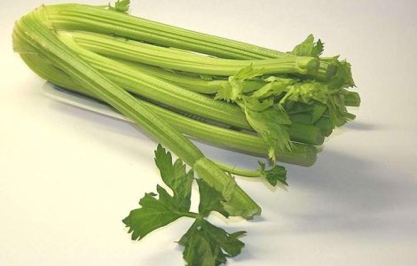  Top  Stiai ca face minuni? De ce a fost TELINA supranumita planta SFANTA