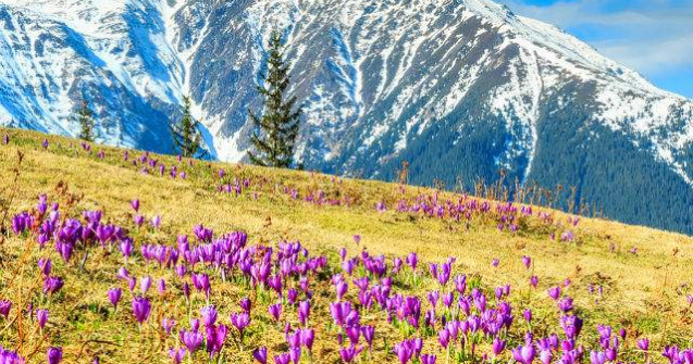  Top  7 motive pentru a te muta in Romania, spuse de un strain