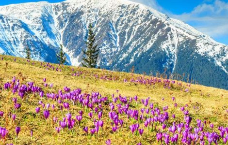  Top  7 motive pentru a te muta in Romania, spuse de un strain