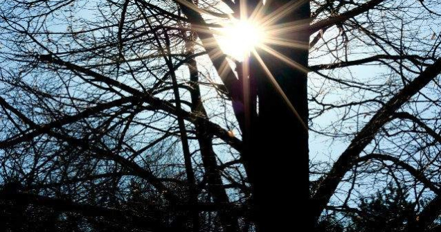  Top  Ploua de 1 mai? Cum va fi starea vremii in urmatoarele doua saptamani