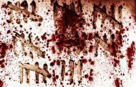 Parlamentarii austrieci au recunoscut genocidul armean