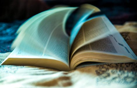 Noaptea Cartilor deschise: Mii de volume oferite gratuit de Litera