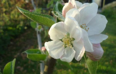 Prognoza meteo: Cum va fi vremea in weekend