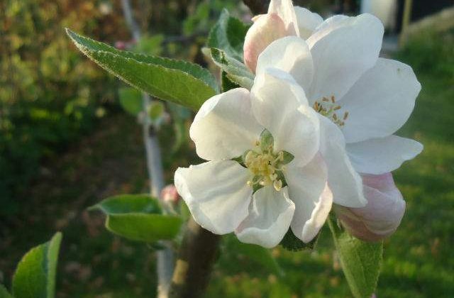 Prognoza meteo: Cum va fi vremea in weekend