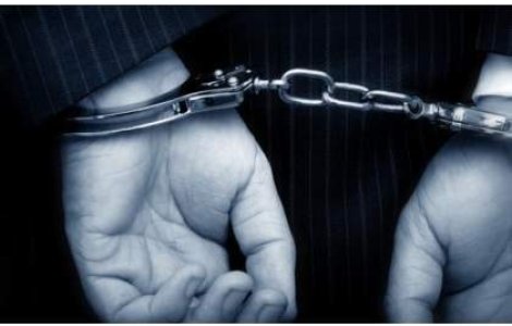 14 membri ai Academiei infractorilor, arestati preventiv