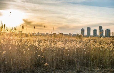  Top  Mini-vacanta de 1 mai: Unde sa te distrezi in Bucuresti