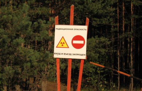 Nivelul radiatiilor este normal in zona interzisa din Cernobil