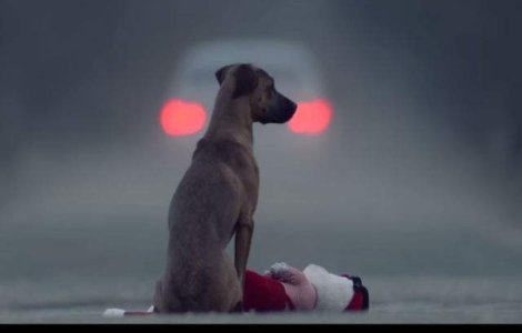 Clipul asta iti va da de gandit: nimeni nu ar trebui sa pateasca asta